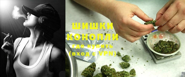 прущая мука Верея