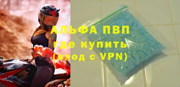 СК Белокуриха
