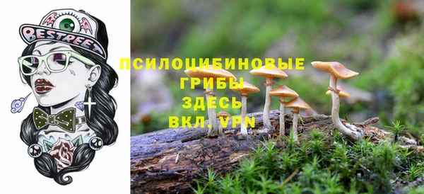 дмт Белоозёрский